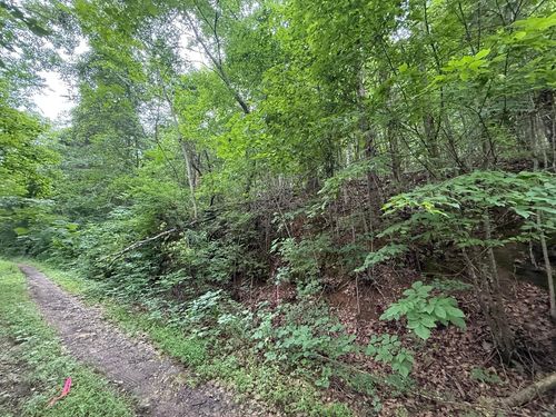 0 Fortunato Dr, White Pine, TN, 37890 | Card Image