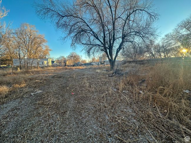 View of backyard | Image 16