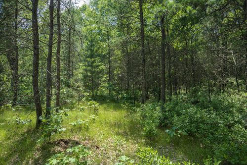 Lot 5 17th St W, Necedah, WI, 54646 | Card Image