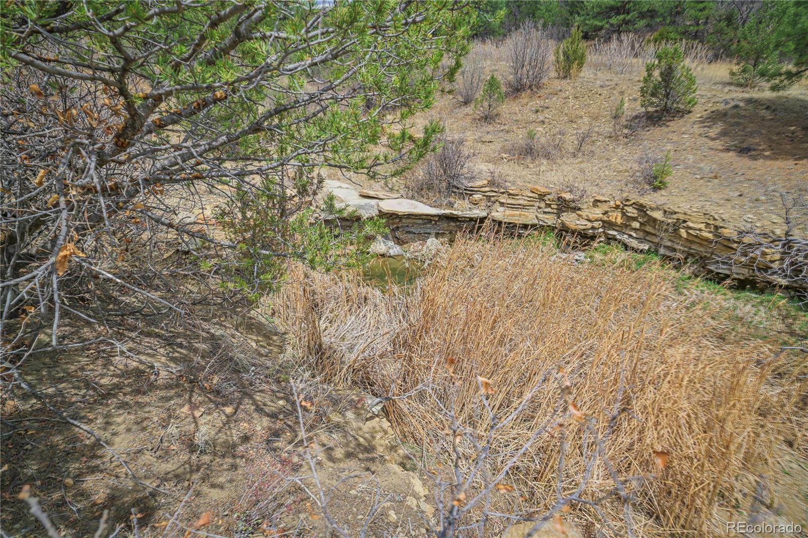 Land in Weston 5