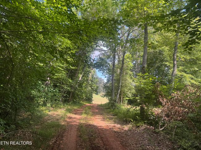 1 Mill Creek Rd, Home with 0 bedrooms, 0 bathrooms and null parking in Andersonville TN | Image 4
