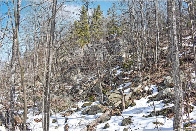 48 Durkin Rd, Home with 0 bedrooms, 0 bathrooms and null parking in North Creek NY | Image 39