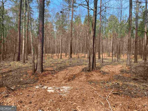 LOT 5 Old Highway 138, Loganville, GA, 30052 | Card Image