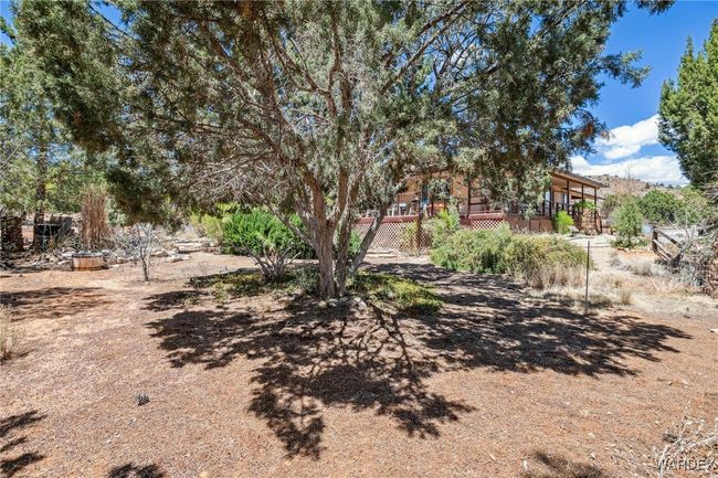 Yard | Image 32