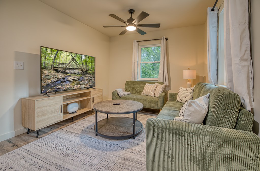 Residential in Ellijay 5