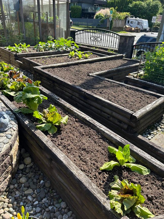 Exterior view of a garden | Image 36