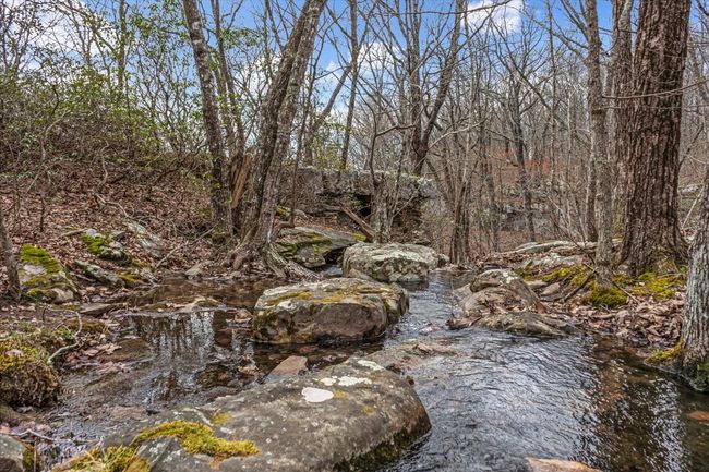 558 Hanging Rock Dr, House other with 3 bedrooms, 2 bathrooms and 2 parking in Altamont TN | Image 49