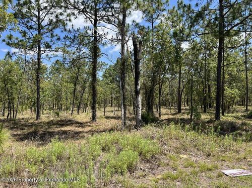 Lot 33 Nw Amberjack Avenue, Dunnellon, FL, 34431 | Card Image