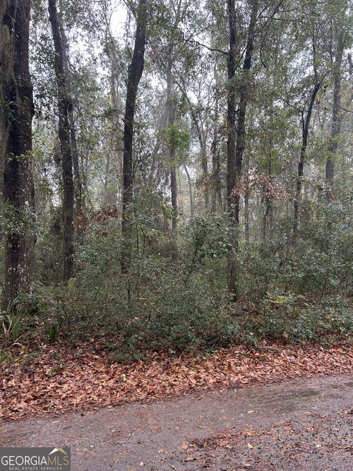 LOT 15 Harmony Hill Ln Ne, Townsend, GA, 31331 | Card Image