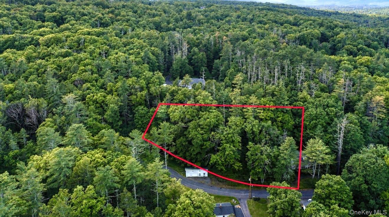 Land in Kingston 3