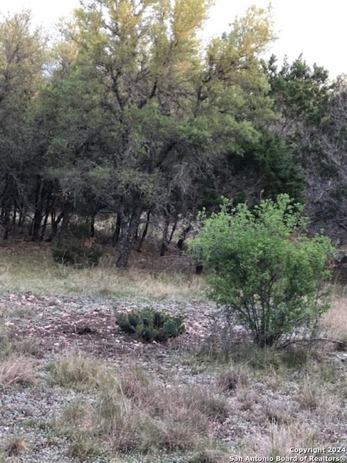 40EF White Tail Run, Uvalde, TX, 78801-5077 | Card Image