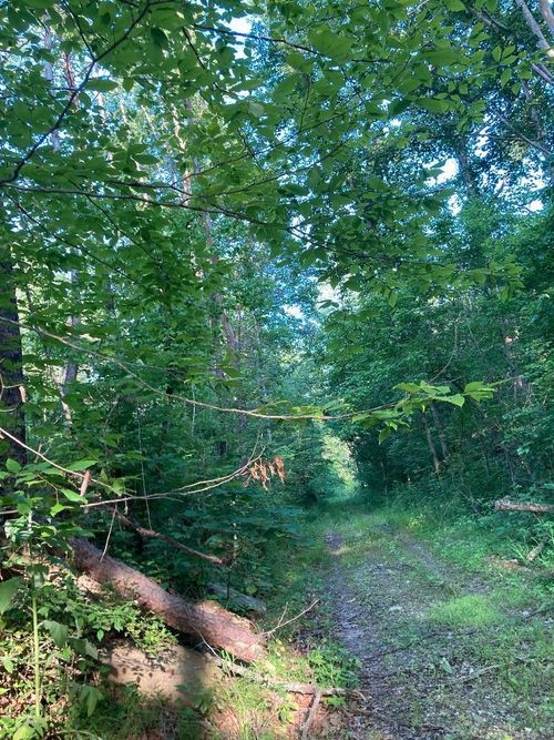 0 Buck Run, Greenup, KY, 41144 | Card Image