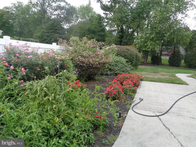 231 Winding Ln, House other with 3 bedrooms, 2 bathrooms and null parking in CINNAMINSON NJ | Image 56