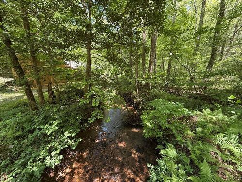1199 Mountain Cove Rd, Dahlonega, GA, 30533-2071 | Card Image