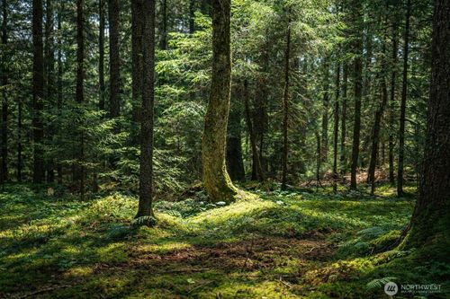 44110 Se 159th St, North Bend, WA, 98045 | Card Image