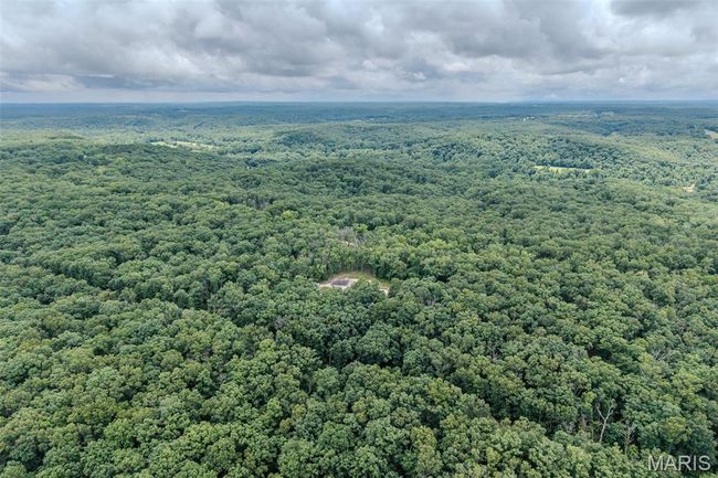 Aerial view of a forest | Image 76