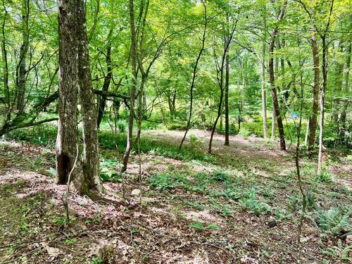 Lot 3 Lower Fox Trl, Blairsville, GA, 30512 | Card Image