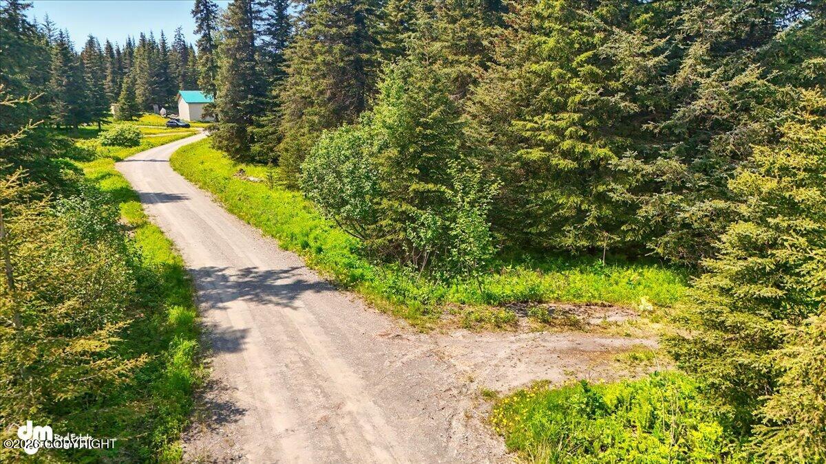 Land in Ninilchik 5