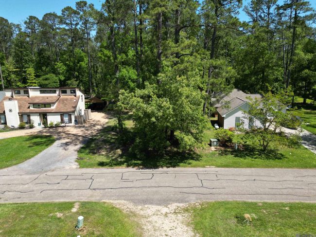 31531 River Pines Dr, Home with 0 bedrooms, 0 bathrooms and null parking in Springfield LA | Image 26