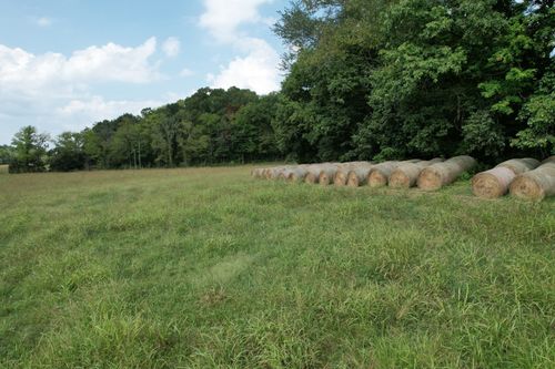 1 N Lick Creek Rd, Franklin, TN, 37064 | Card Image