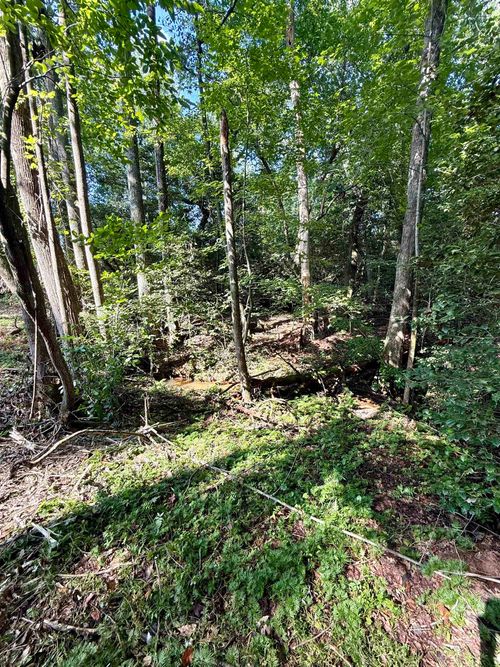 0 Thompson Rd, Greer, SC, 29651 | Card Image