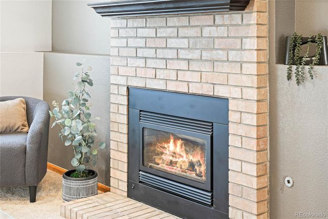 9905 Foxhill Cir, House other with 3 bedrooms, 2 bathrooms and 2 parking in Highlands Ranch CO | Image 20