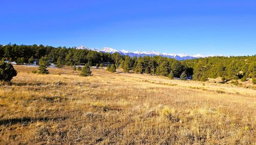 3568 Wykagyl Rd, Westcliffe, CO, 81252 | Card Image