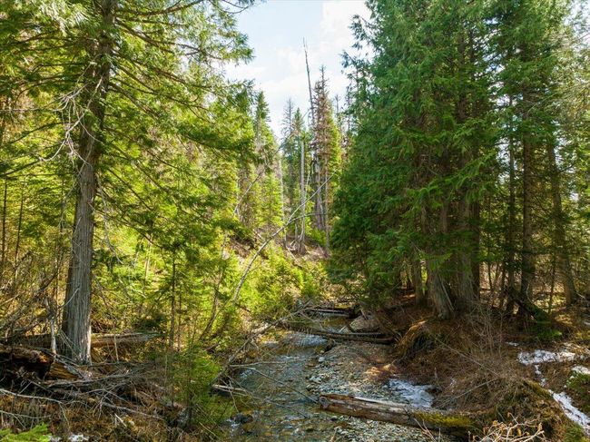 Piper Creek before spring run off | Image 26