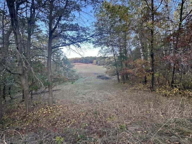 IMG_7410.JPG | Image 16