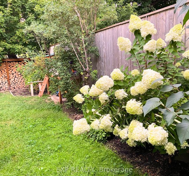 224 Westcott St, House other with 4 bedrooms, 1 bathrooms and 2 parking in Peterborough ON | Image 32