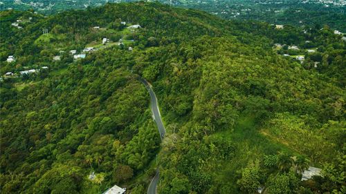 PR181 km 53.3 Sector La Silla Carr 941, Gurabo, PR, 00778 | Card Image