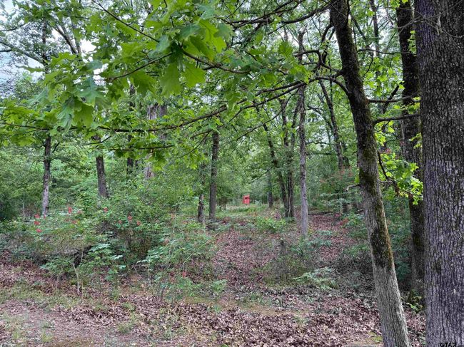 72 Acres N Farm Road 900, Home with 0 bedrooms, 0 bathrooms and null parking in Saltillo TX | Image 39
