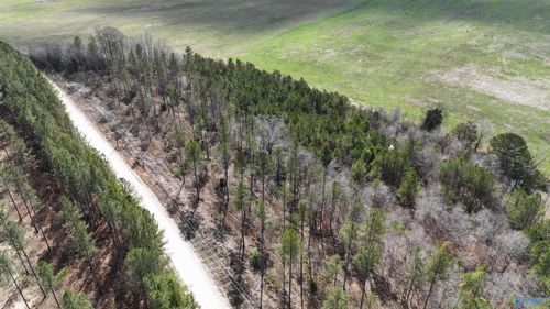 15 County Road 175, Piedmont, AL, 36272-4135 | Card Image