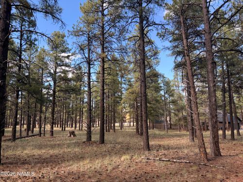 257-3222 W Grey Hawk, Williams, AZ, 86046 | Card Image
