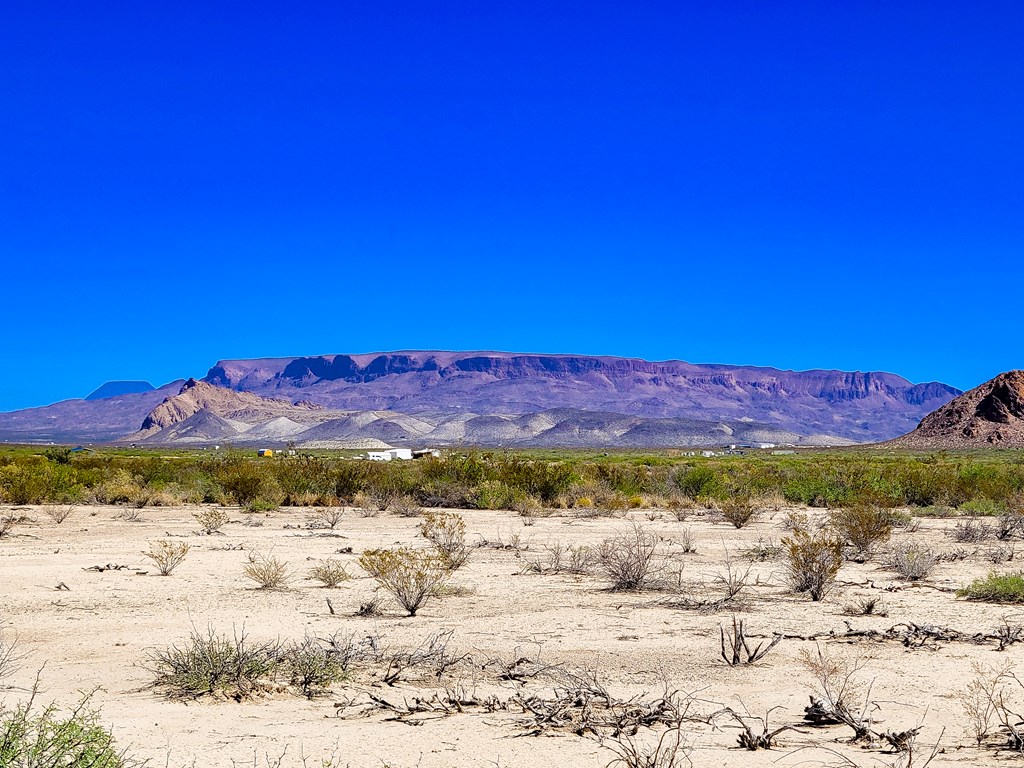 Land in Terlingua 5