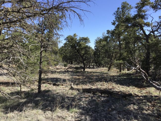 Lot 7 Red Fox Road, Home with 0 bedrooms, 0 bathrooms and null parking in Ramah NM | Image 23