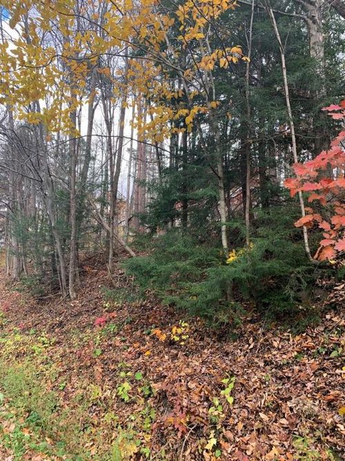 0 0 Townsend Road, Dix, NY, 14891 | Card Image