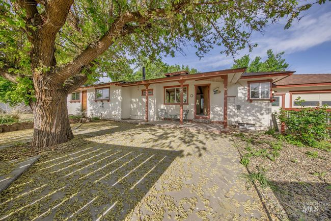 Courtyard entrance with large shade tree | Image 40