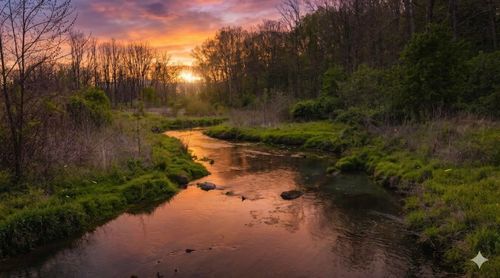 TBD Mossy Creek Rd, BRIDGEWATER, VA, 22812 | Card Image