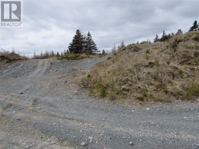 45 New Line Road, Home with 0 bedrooms, 0 bathrooms and null parking in Colliers NL | Image 46