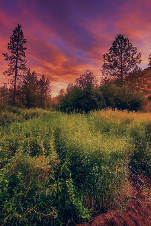 38010 Redwine Canyon Rd N, Lincoln, WA, 99147 | Card Image