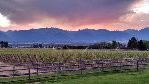 Nhn - Lot B Mountain View Orchard Road, Corvallis, MT, 59828 | Card Image