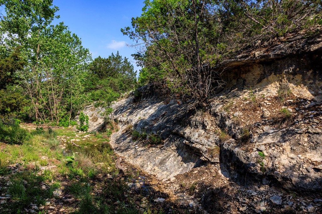 Land in Fredericksburg 4