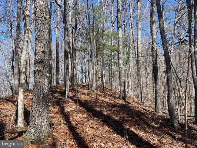 0 Bear Cove Rd, Home with 0 bedrooms, 0 bathrooms and null parking in Bryson City NC | Image 8