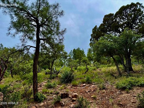 161-161 N Portal Dr, Pine, AZ, 85544 | Card Image