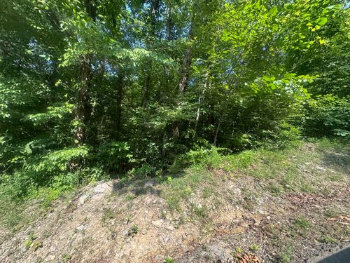49 Rock Springs Rd, Celina, TN, 38551-6536 | Card Image