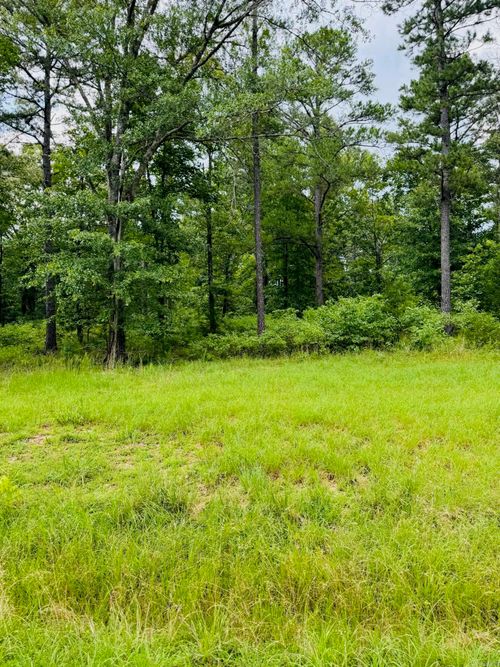 Lot 47 Primrose Creek Cir, Heber Springs, AR, 72543-8753 | Card Image