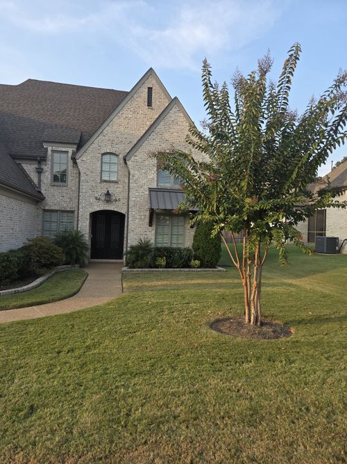 12432 Zapata Cv, Collierville, TN, 38017-2285 | Card Image
