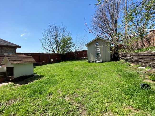 View of yard with a shed | Image 4