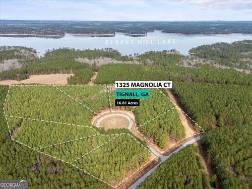 0 Magnolia Ct, Tignall, GA, 30668 | Card Image